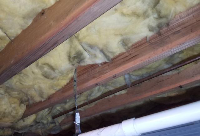 Mold Inspection
