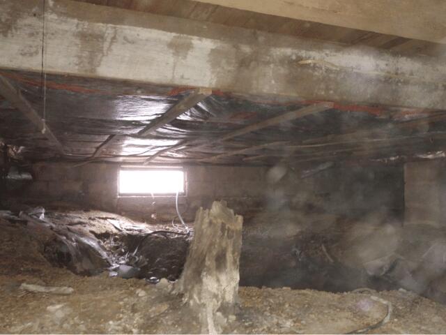 Attic, Crawlspace & Basement Mold