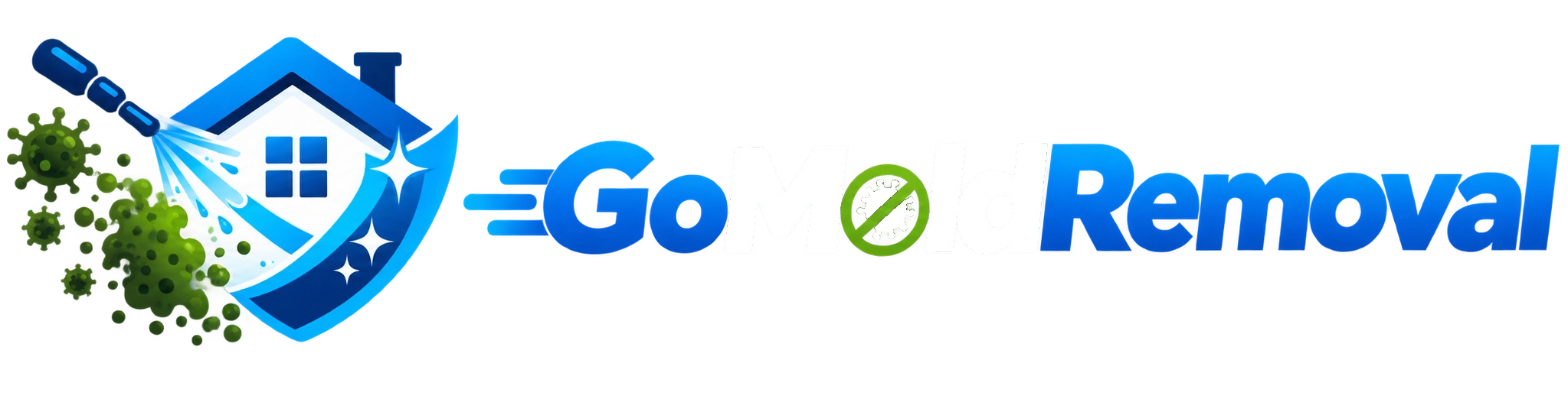 GoMoldRemoval