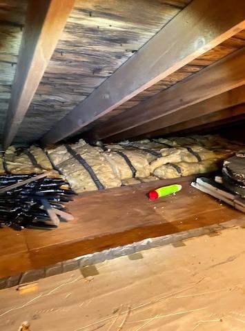 Mold Remediation