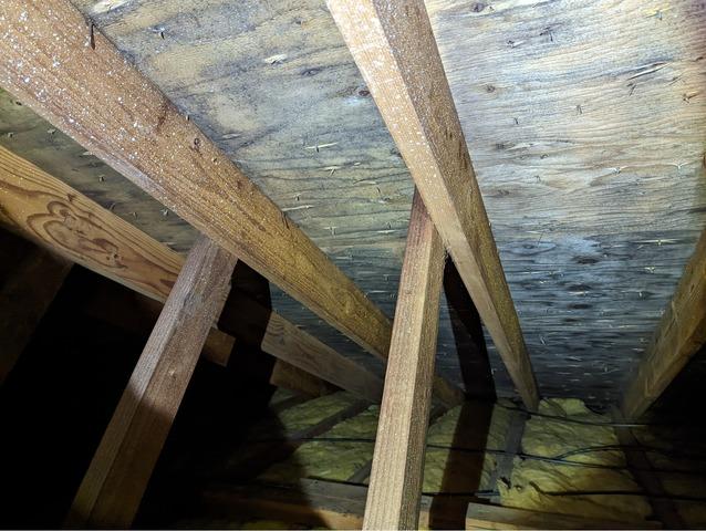 Water Damage Restoration detail